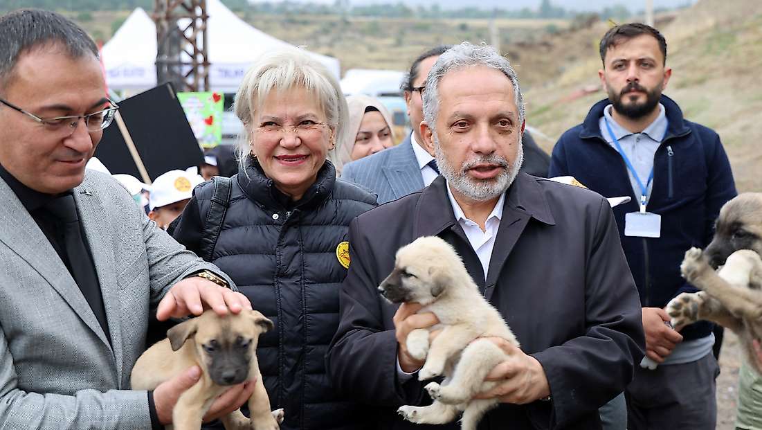 Hayvanları Koruma Günü, Talas Pati Evi Doğal Yaşam Alanı'nda kutlandı