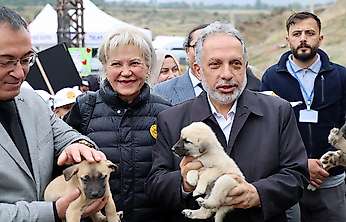 Hayvanları Koruma Günü, Talas Pati Evi Doğal Yaşam Alanı'nda kutlandı
