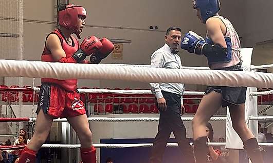 Kayseri'de Atatürk ve Cumhuriyet Muaythai tamamlandı