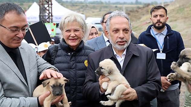 Hayvanları Koruma Günü, Talas Pati Evi Doğal Yaşam Alanı'nda kutlandı